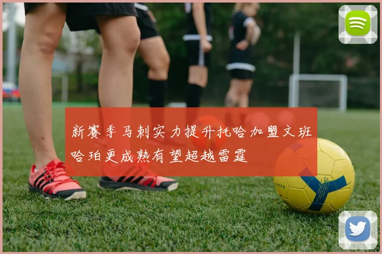 新赛季马刺实力提升托哈加盟文班哈珀更成熟有望超越雷霆