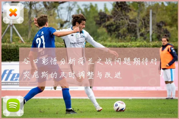 谷口彰悟分析荷兰之战问题期待对突尼斯的及时调整与改进